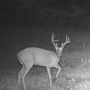 Meet your Posher, Russell